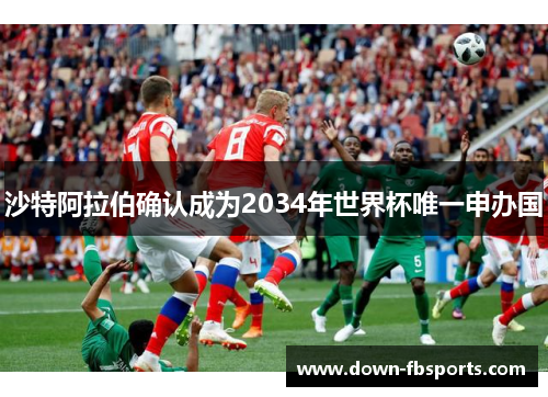 沙特阿拉伯确认成为2034年世界杯唯一申办国 沙特阿拉伯确认成为2034年世界杯唯一申办国