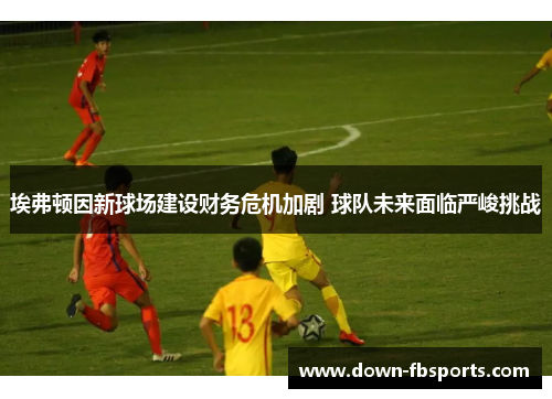 埃弗顿因新球场建设财务危机加剧 球队未来面临严峻挑战